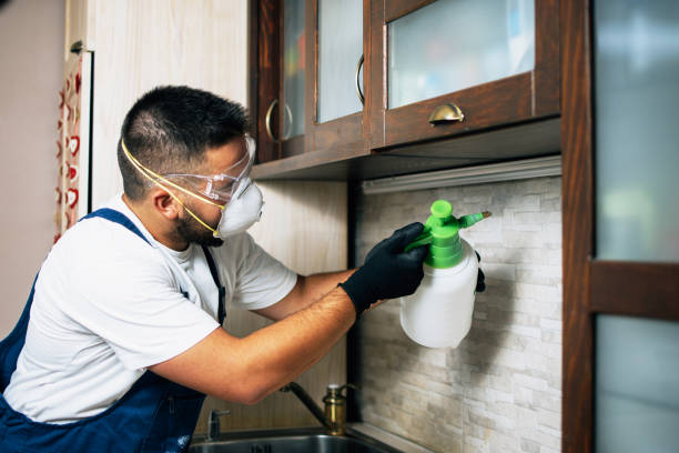 Best Pest Inspection Near Me  in Croydon, PA