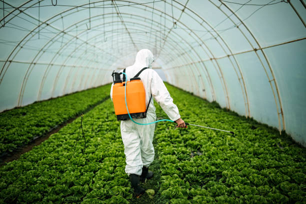 Best Best Pest Control Companies  in Croydon, PA