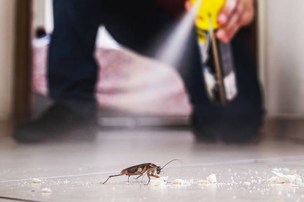 Best Bed Bug Extermination  in Croydon, PA