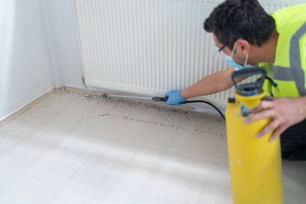 Best Flea Control Services  in Croydon, PA