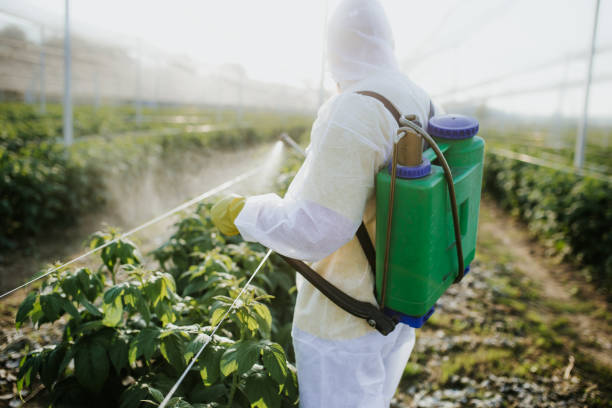 Wildlife Control Services in Croydon, PA